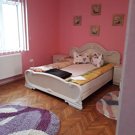 Apartament Casa Ade Călimăneşti Zewnętrze zdjęcie