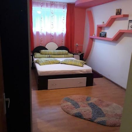Apartament Casa Ade Călimăneşti Zewnętrze zdjęcie