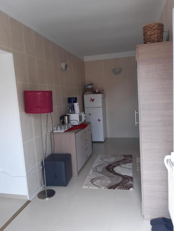 Apartament Casa Ade Călimăneşti Zewnętrze zdjęcie