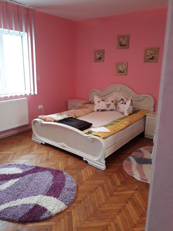 Apartament Casa Ade Călimăneşti Zewnętrze zdjęcie