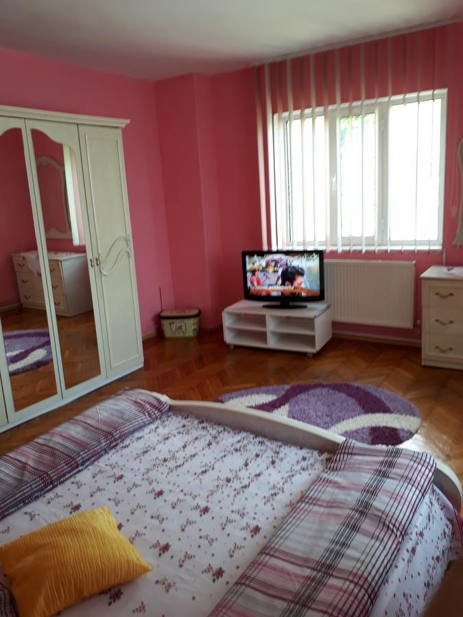 Apartament Casa Ade Călimăneşti Zewnętrze zdjęcie
