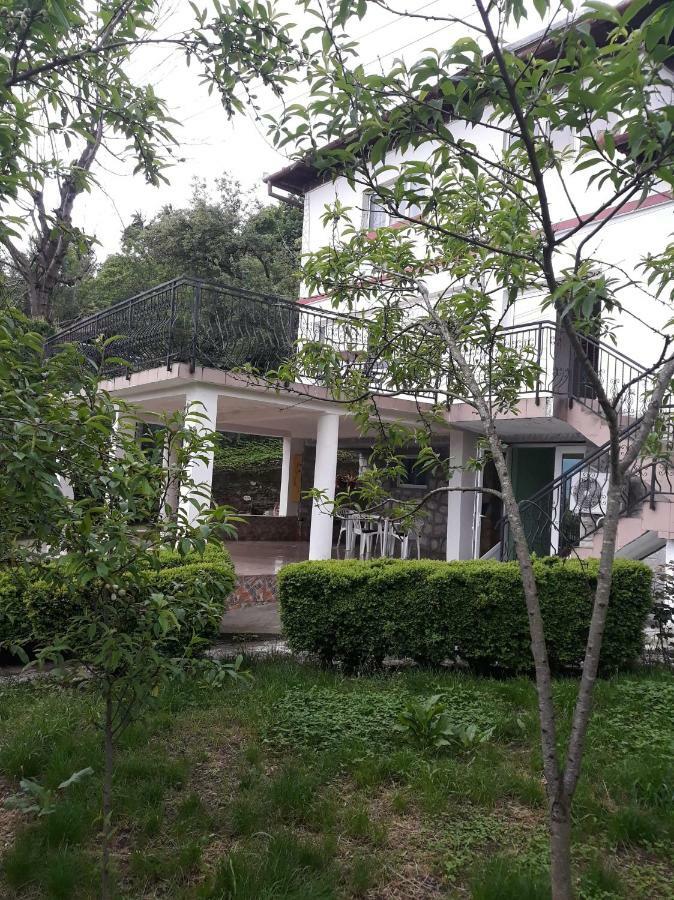 Apartament Casa Ade Călimăneşti Zewnętrze zdjęcie