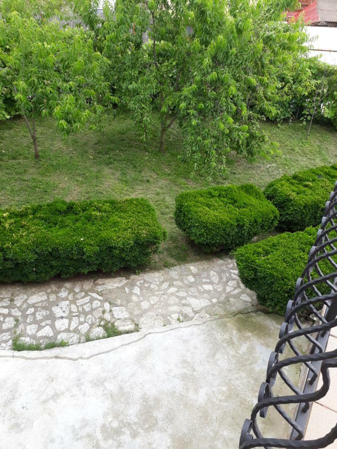 Apartament Casa Ade Călimăneşti Zewnętrze zdjęcie