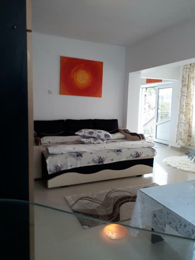 Apartament Casa Ade Călimăneşti Zewnętrze zdjęcie