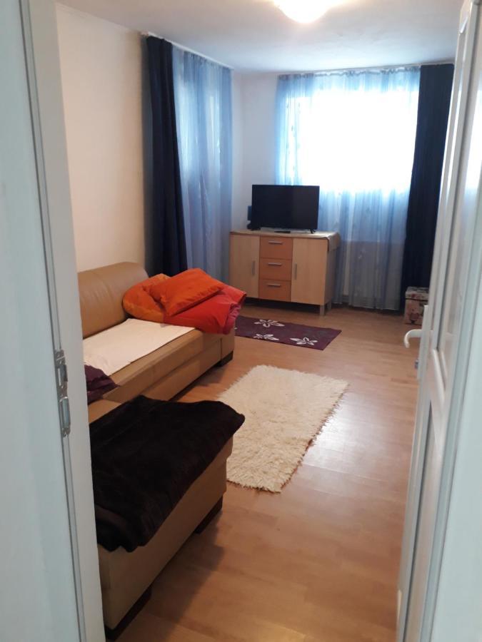 Apartament Casa Ade Călimăneşti Zewnętrze zdjęcie